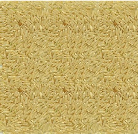 Organic Long Grain Brown Rice - BioGro Certified