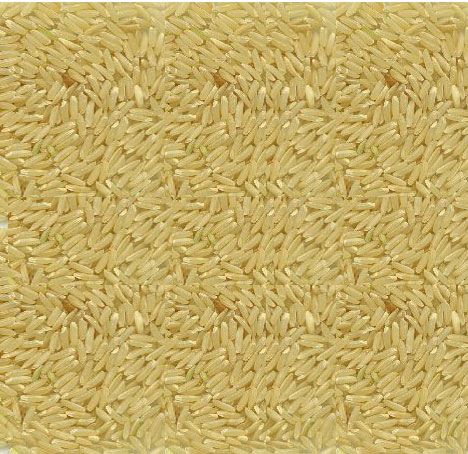 Organic Long Grain Brown Rice - Bio Gro Certified