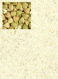 Bio Gro certified Organic / Biologically grown Buckwheat Flour